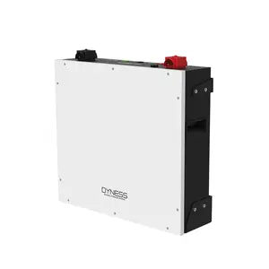 Baterie Dyness 5.12 kWh 48V LiFePO4 AutoIncalzire - DL5.0C Pro  - AstonShop